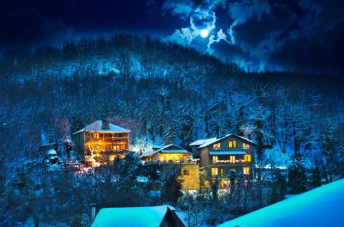 Una casa de noche con la luna en el cielo en Lydia Lithos Mountain Resort, en Metamórfosi