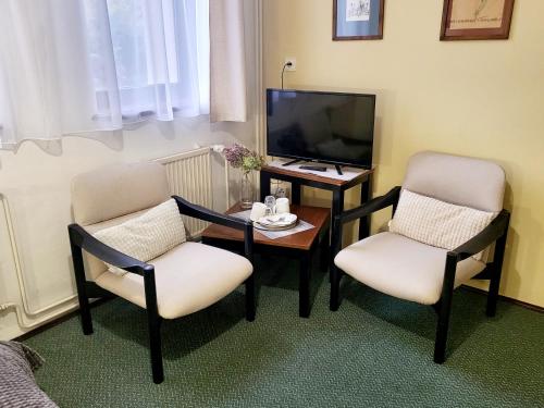 ヤブロネツ・ナド・ニソウにあるPenzion Bazalkaの椅子2脚、テーブル、テレビが備わる客室です。