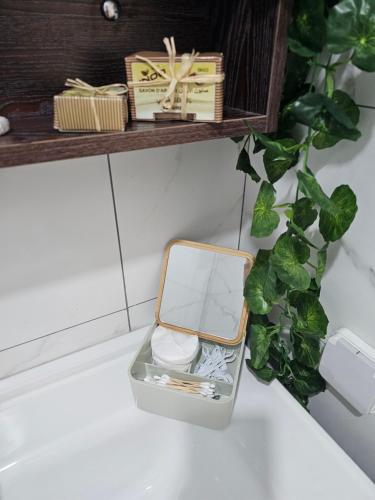 a box of matches sitting on a table next to a plant at Airport Break in Nouaceur