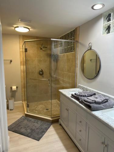 uma casa de banho com um chuveiro e uma cabina de duche em vidro. em Florida house, 4br 2bt with private pool oasis em Naples