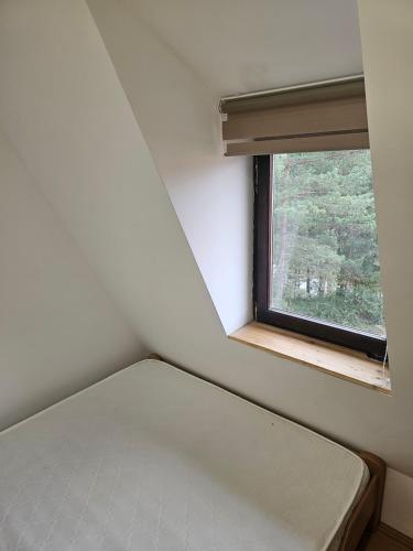 ein kleines Schlafzimmer mit einem Bett und einem Fenster in der Unterkunft Šumor šume - Tara in Kaludjerske Bare