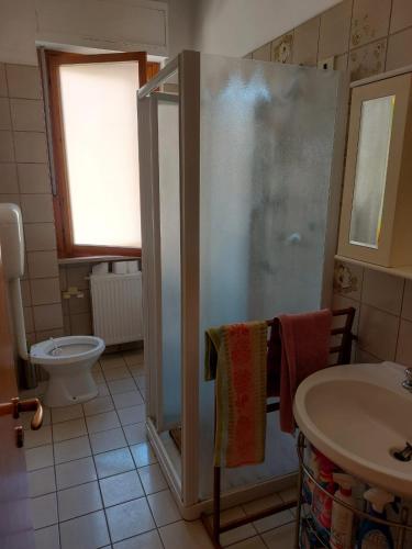 ein Bad mit einer Dusche, einem WC und einem Waschbecken in der Unterkunft Home Mariarita in Montesilvano