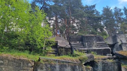 a group of stone steps in front of some trees at Niezapominajka in Janówek Pierwszy