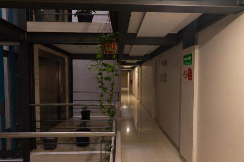 a hallway in a building with potted plants on the ceilings at SC HOTEL in Xalapa