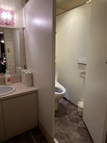 a bathroom with a toilet and a sink and a mirror at Guest House Tosa Otesujihana Dormitory women only- Vacation STAY 14354 in Kochi