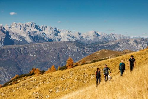 a group of people walking on a hill with a dog at Monolocale Mati - Holiday Home in Trento