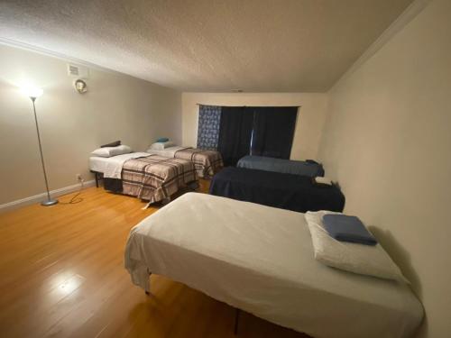 Zen Home في سانتا آنا: غرفه فندقيه سريرين ومصباح