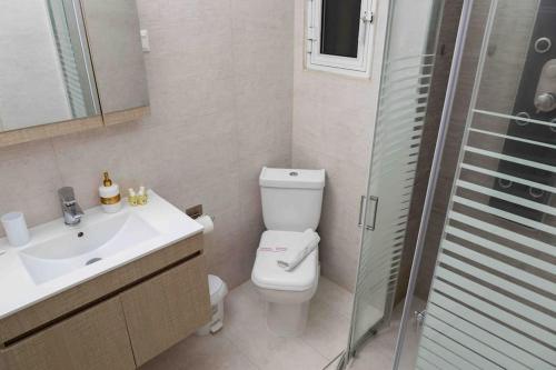 ein Bad mit einem WC, einem Waschbecken und einer Dusche in der Unterkunft Simplicity Big Apartment in Thessaloniki