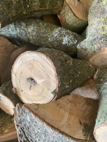 a pile of logs and a piece of wood at Spaniel Cottage with views of Ham hill, Stoke sub Hamdon in Martock