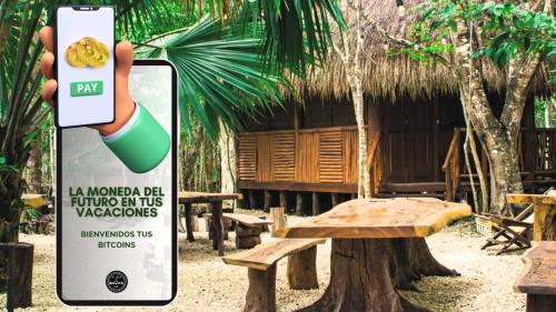 Certifikát, hodnocení, plakát nebo jiný dokument vystavený v ubytování Aldea Maya-Ha Cabañas con cenotes