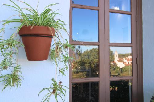 dos macetas en una pared junto a una ventana en Las Casas de la Tía Sabina - ONLY ADULTS by SIERRA VIVA, en Cortelazor