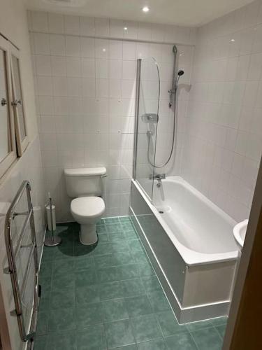 a bathroom with a toilet and a tub and a sink at Lavish apartment in Ldn bridge in London