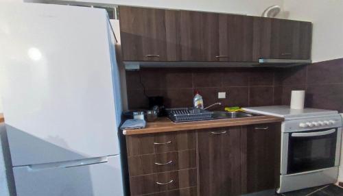 a small kitchen with a sink and a refrigerator at Dreams 1 in Kardítsa