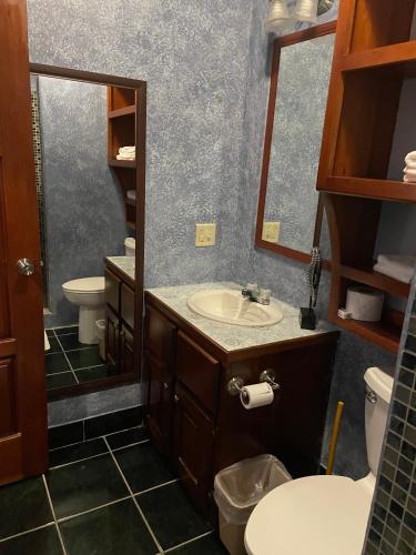 a bathroom with a sink and a toilet and a mirror at Belize Budget Suites in San Pedro