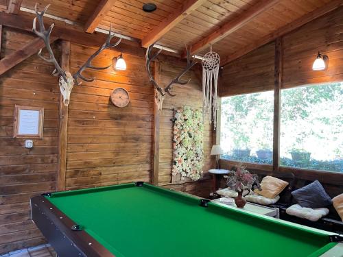 a pool table in a room with wooden walls at Valea lui Liman in Tomeşti