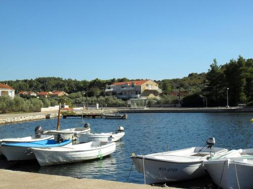 a group of boats are docked in the water at Apartments Zeljko in Lumbarda