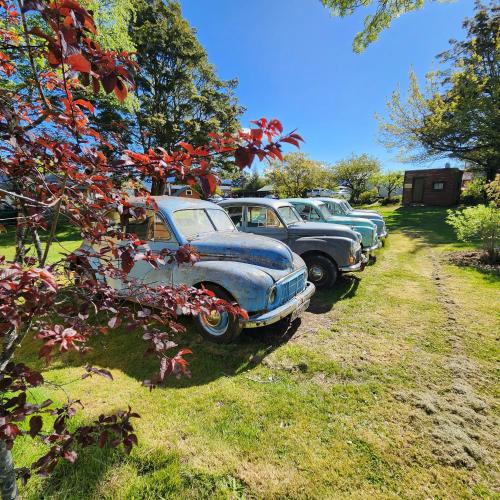 a row of old cars parked in a field at Manapouri Holiday Park in Manapouri