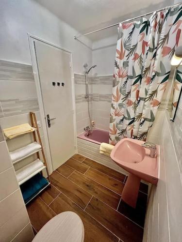 a bathroom with a pink sink and a shower at Agréable T2 cosy - centre-ville in Perpignan