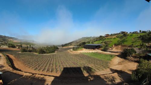 an aerial view of a farm field with a barn at Residencia Artistica CasaVino in Casablanca