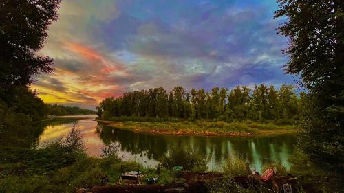 a view of a river with trees and a cloudy sky at Blue Heron Sanctuary & Serene, river-front cottage in West Linn