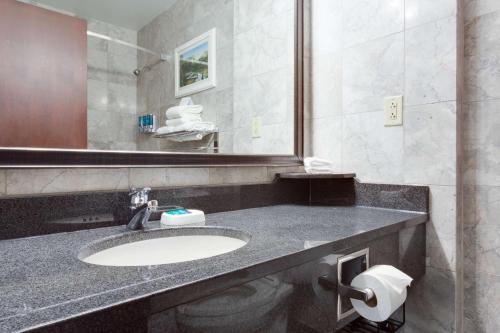a bathroom with a sink and a mirror at Drury Plaza St. Louis at the Arch in Saint Louis