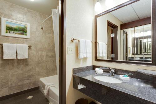 a bathroom with a sink and a mirror and a tub at Drury Plaza St. Louis at the Arch in Saint Louis