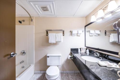 a bathroom with a toilet and a sink and a mirror at Red Roof Inn Palatine in Palatine