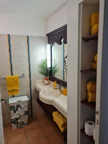 La salle de bains est pourvue d'un lavabo et d'un miroir. dans l'établissement Madininappart, à Sainte-Luce