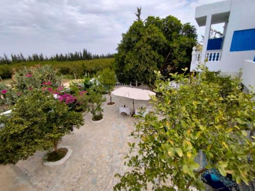 an overhead view of a garden with trees and flowers at Henchir ejdoud in Kairouan