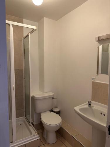 a bathroom with a toilet and a sink and a shower at Modern Apartment X91 R940 in Waterford