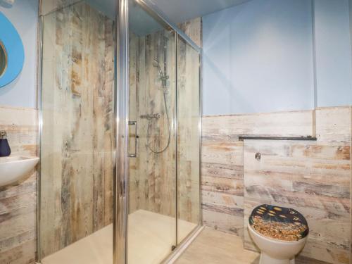 a bathroom with a shower and a toilet at Sunflower Cottage in Wadebridge