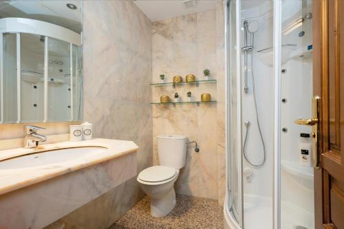e bagno con servizi igienici e doccia. di Dreaming Apartment Bib Rambla a Granada