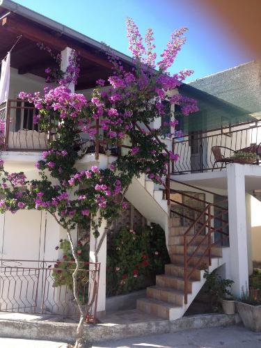a tree with purple flowers on the side of a building at Jerkovic Apartment in Žuljana