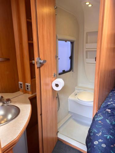 a small bathroom with a sink and a toilet at Kiwi Caravan Experience in Motueka