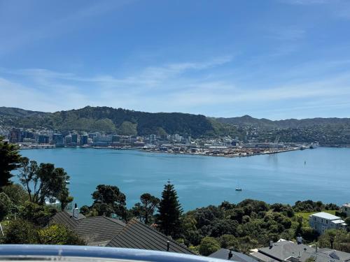 a view of a large body of water with a city at Super large seaview house in Wellington
