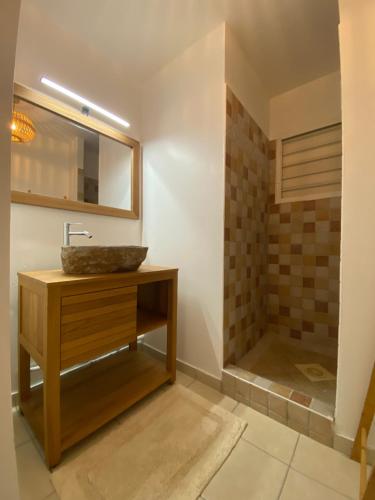 een badkamer met een wastafel en een spiegel bij Monvert Evazion in Le Robert