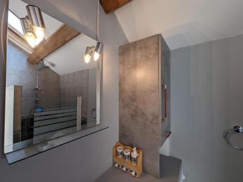 a bathroom with a mirror and a shower in it at Gîte Forcey, 3 pièces, 4 personnes - FR-1-611-75 