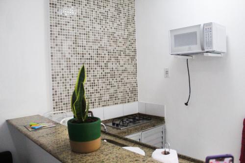 una cocina con una planta en una encimera con microondas en Meu Cantinho, en Río de Janeiro