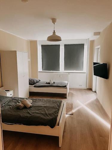 two beds in a room with two windows at Wohnen im 3 Ländereck! Essen, Mülheim, Oberhausen! BS2HL in Essen