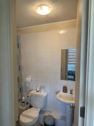 a bathroom with a toilet and a sink and a mirror at Departamento en Linares in Linares