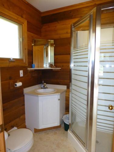 a bathroom with a toilet and a sink and a shower at Mica Mountain Lodge & Log Cabins in Tete Jaune Cache