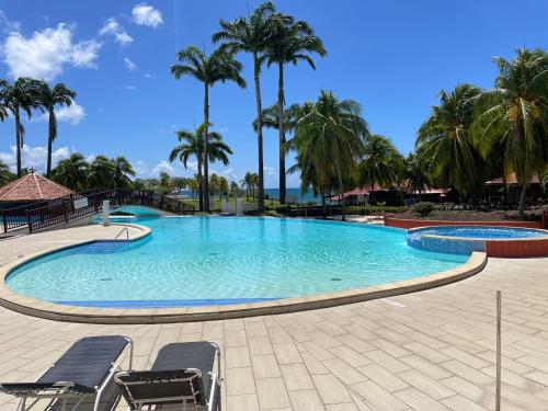 a large swimming pool with chairs and palm trees at Studio Charme et cosy à Sainte-Luce Martinique in Sainte-Luce