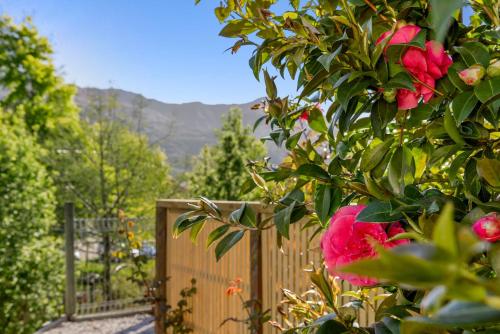 a bush with pink flowers and a fence at ASURE Brookvale Motel in Wanaka