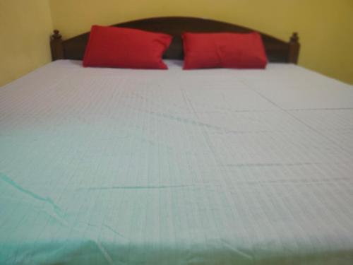 a bed with two red pillows on top of it at RS guest house in Katni