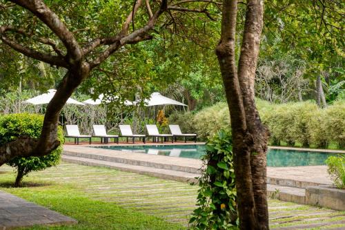 Der Swimmingpool an oder in der Nähe von Uga Riva - Negombo