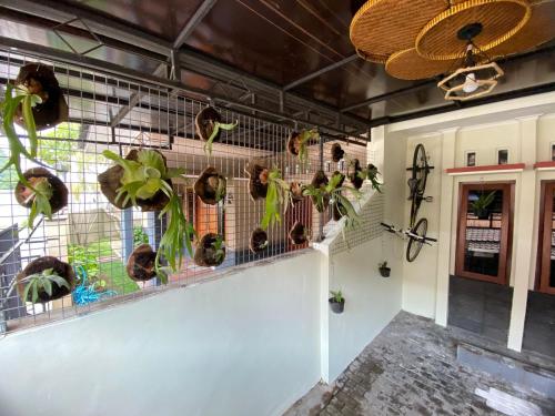 a group of birds in cages on a wall at Coliving Jogja SWEET HOME Kost Lengkap di Jogjakarta in Yogyakarta