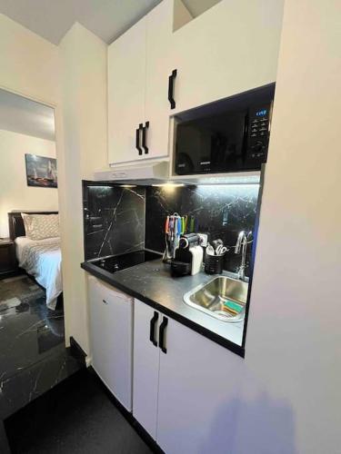 une petite cuisine avec un évier et un micro-ondes dans l'établissement A louer Appartement 2 pièces à Rosny-sous- Bois, à Rosny-sous-Bois