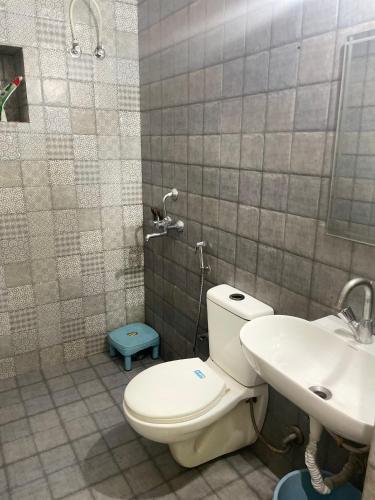 a bathroom with a toilet and a sink at Blue town Hostel & Cafe in Jodhpur