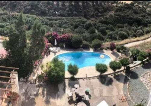 an overhead view of a swimming pool in a garden at Sunset Boutique Guest House in Paphos City