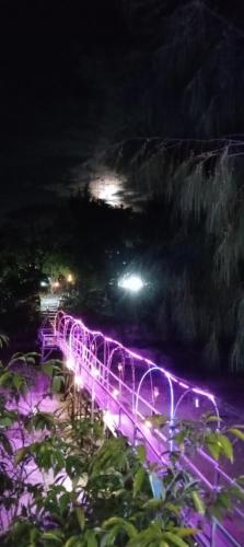 a lit up bridge at night with purple lights at Nua Indah Hotel & Resto Wakatobi in Wanci
